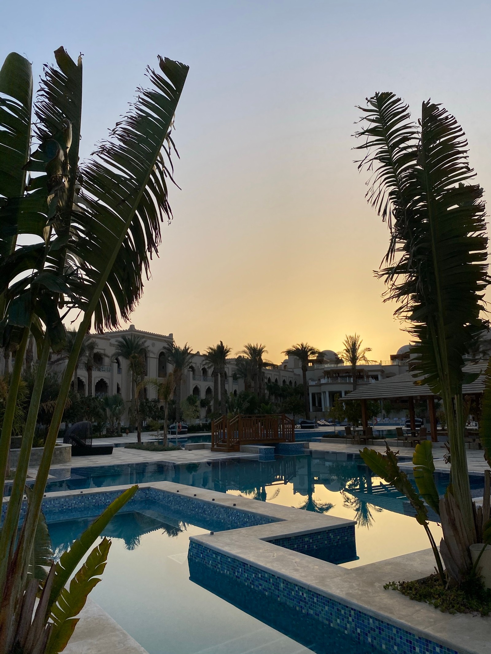 Hay una piscina con una palmera en el medio (árbol de palma, agua, planta, propiedad, piscina)