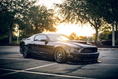 Eleganter schwarzer Shelby Mustang im Sonnenuntergangslicht