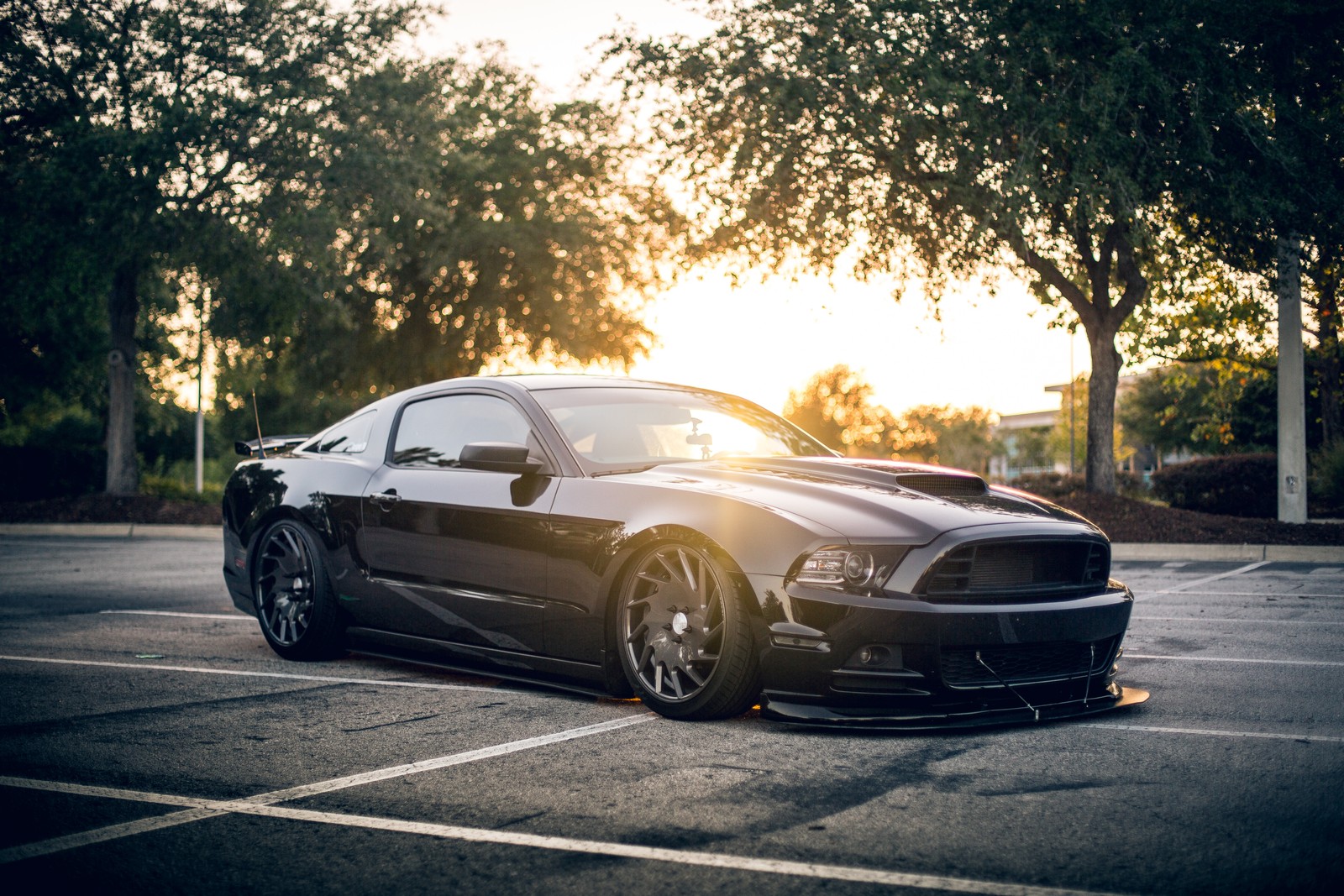 Черный мустанг припаркован на парковке с деревьями на заднем плане (shelby mustang, машина, ford, форд мотор компани, ford motor company)