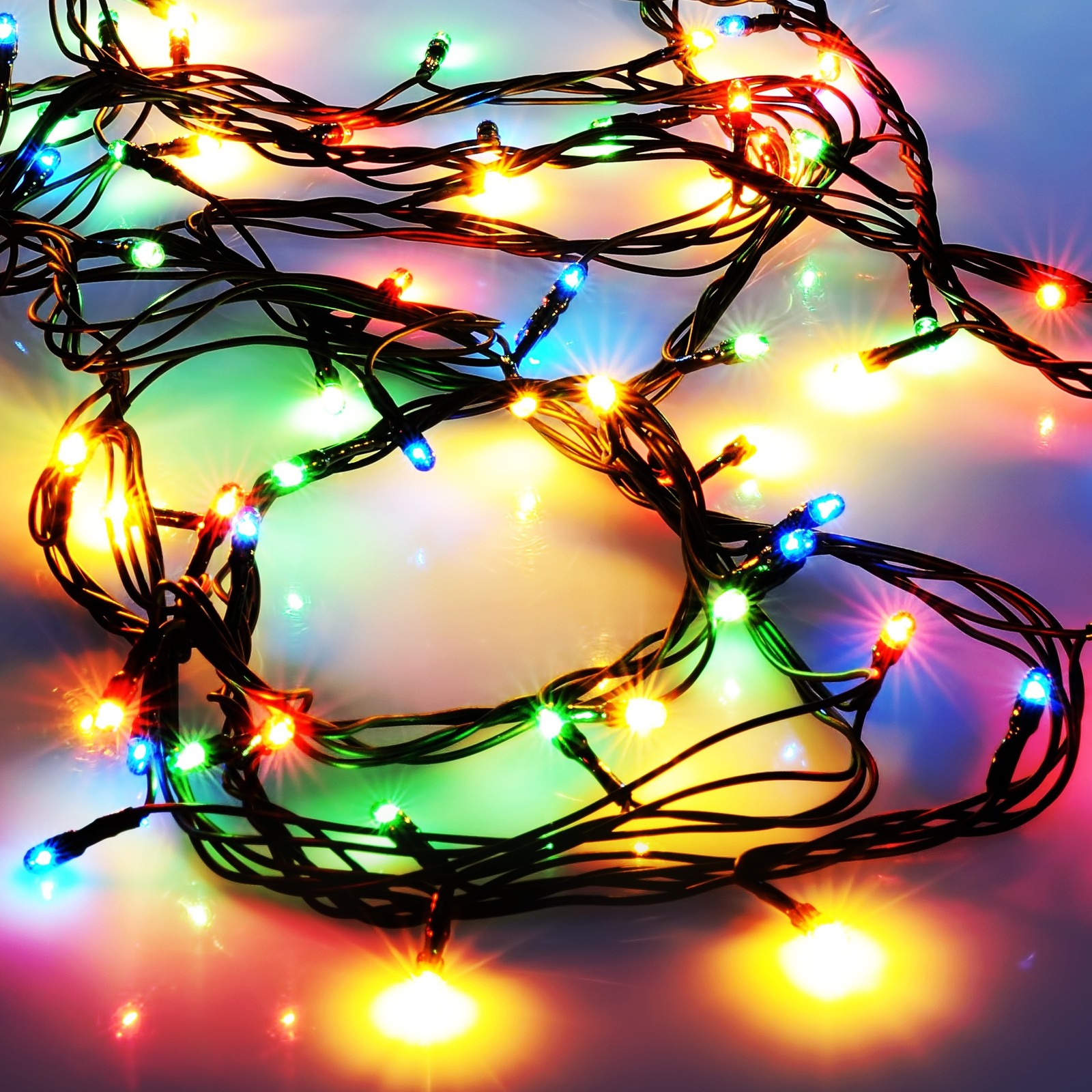 christmas lights, christmas day, lighting, light, branch wallpaper