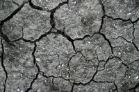 Cracked soil surface illustrating drought conditions and natural patterns.