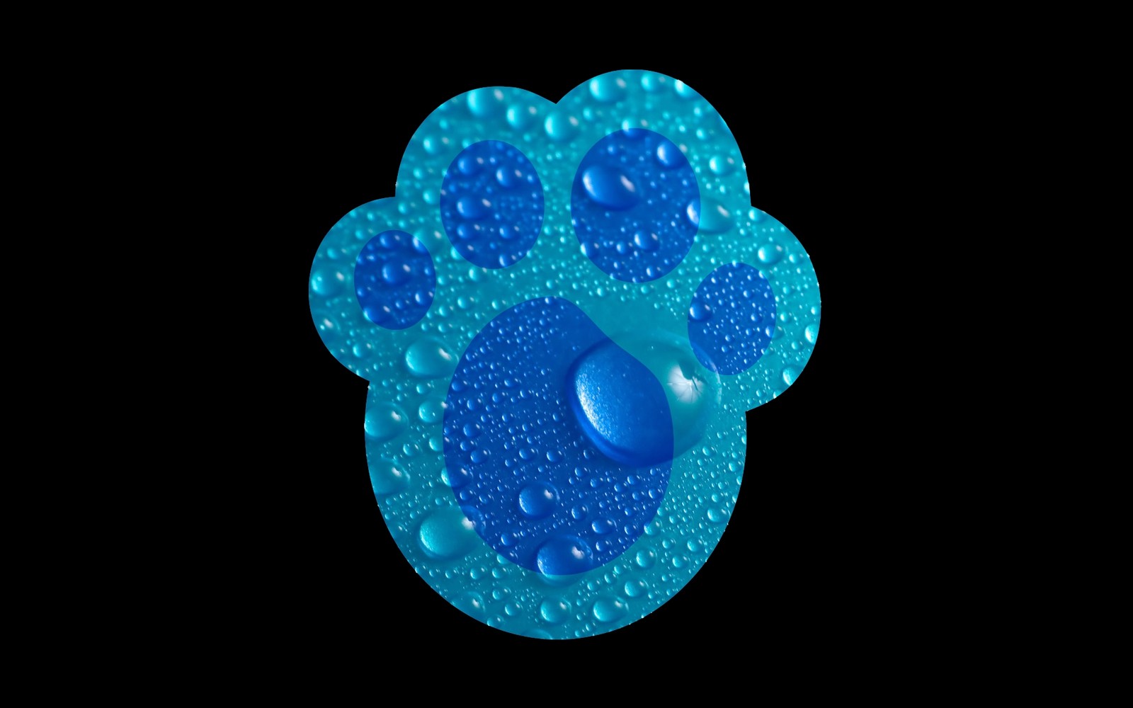 A close up of a blue dog paw with water droplets (blue, aqua, turquoise, azure, circle)