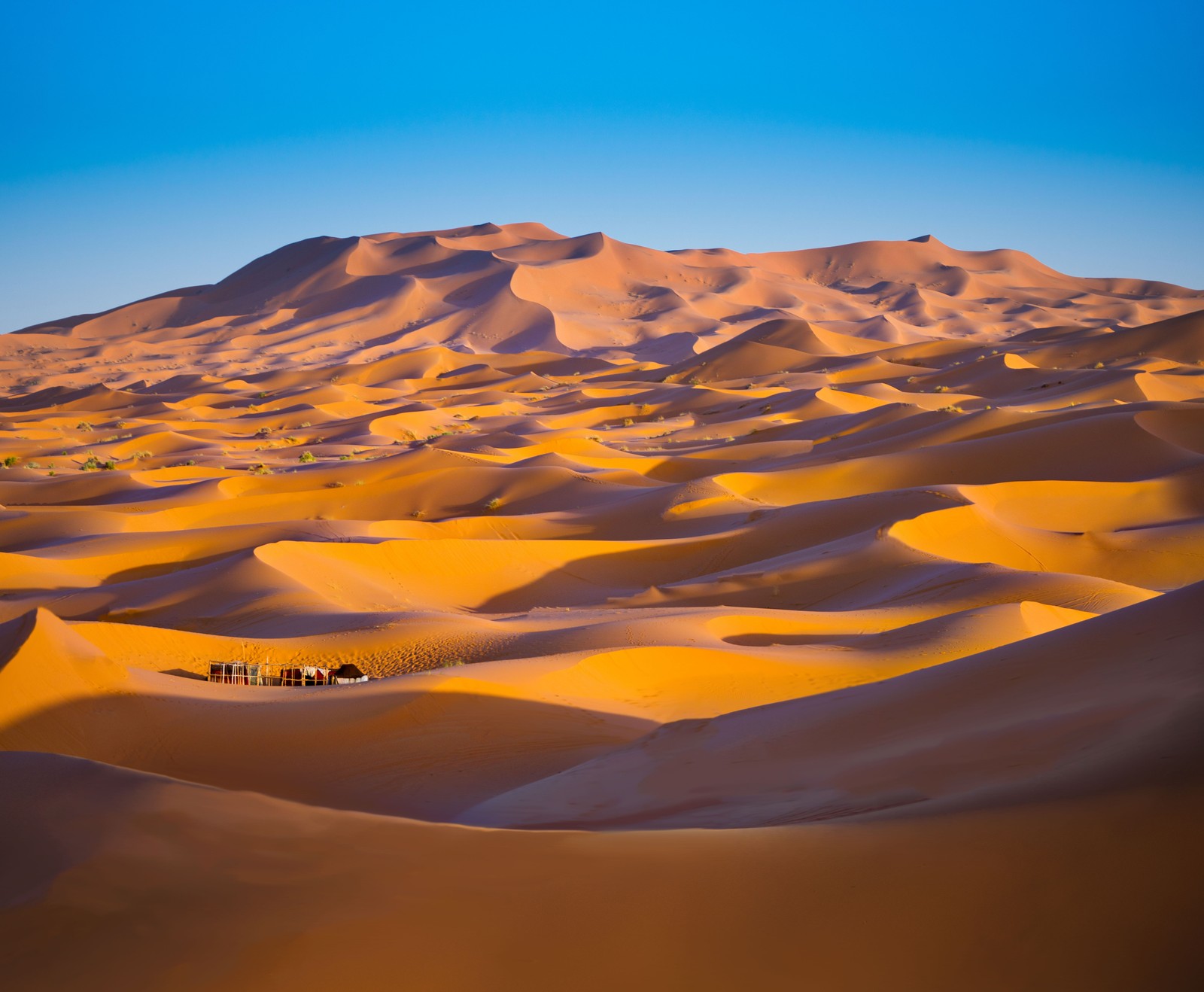 Un groupe de personnes marchant à travers un désert avec des dunes de sable (désert du sahara, merzouga, maroc, morocco, dunes de sable)