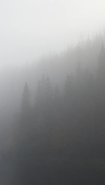 Niebla mística envolviendo un bosque marrón