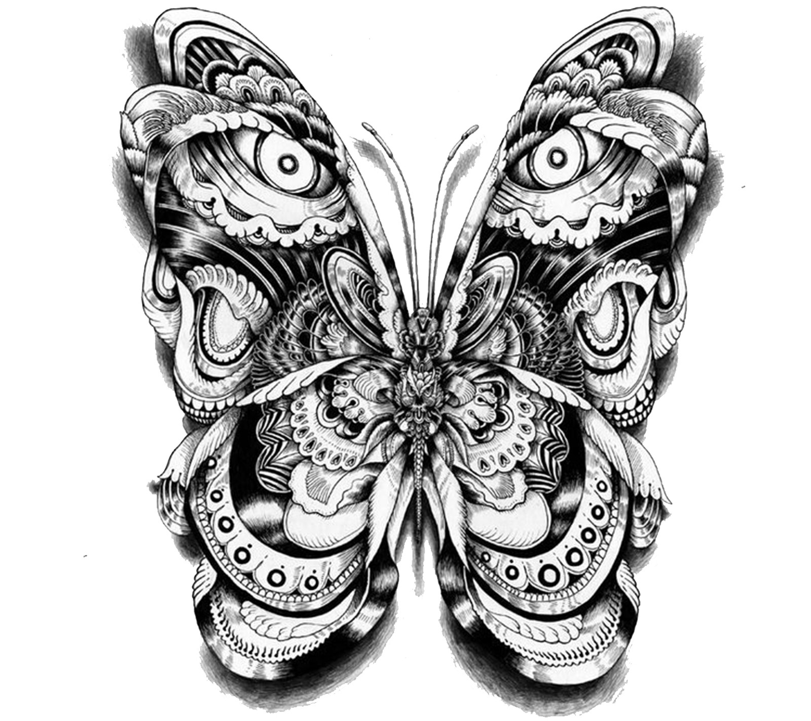 A black and white drawing of a butterfly with intricate designs (abstract, art, butterfly, mariposa)