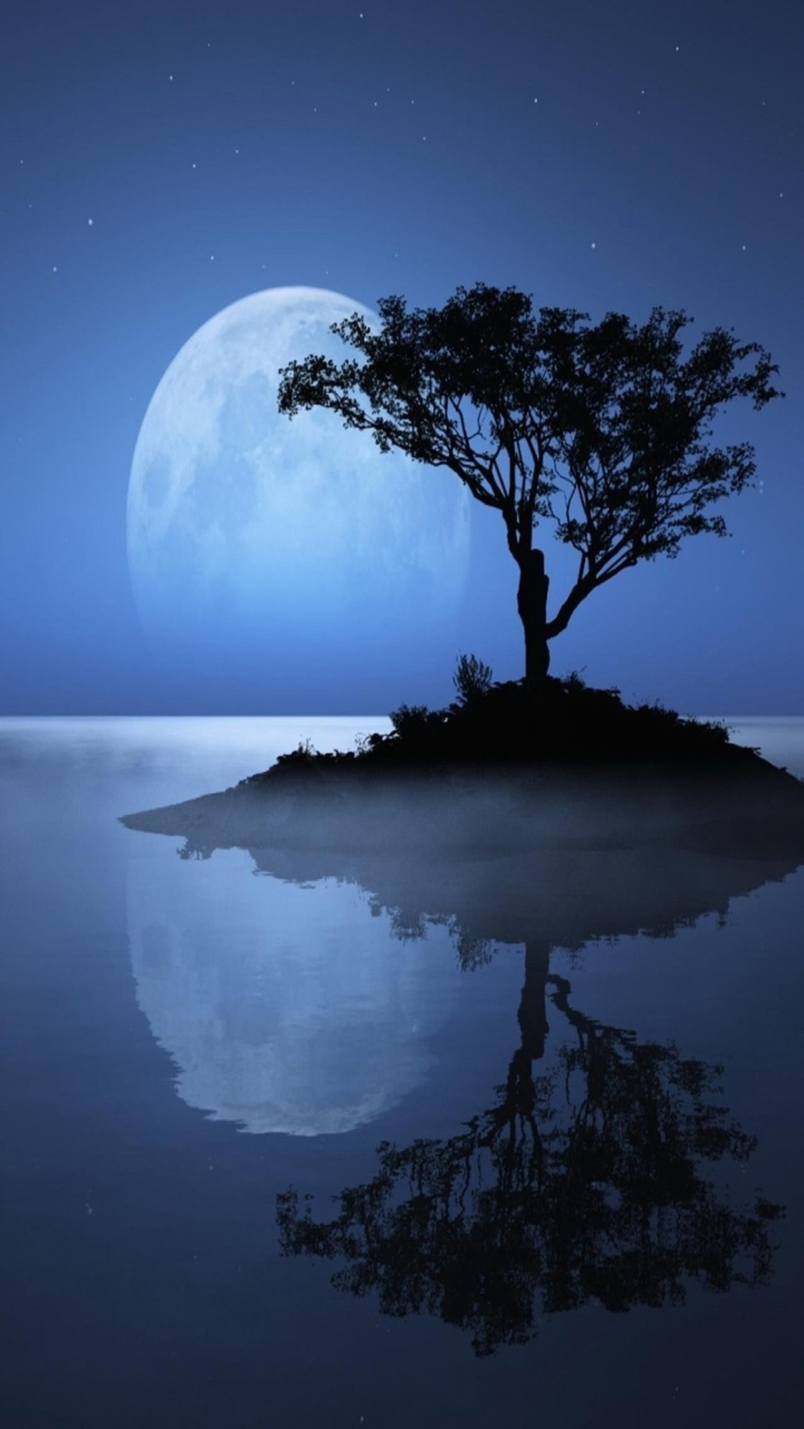 A lone tree on a small island in the middle of the ocean (moon, nature, night, tree)