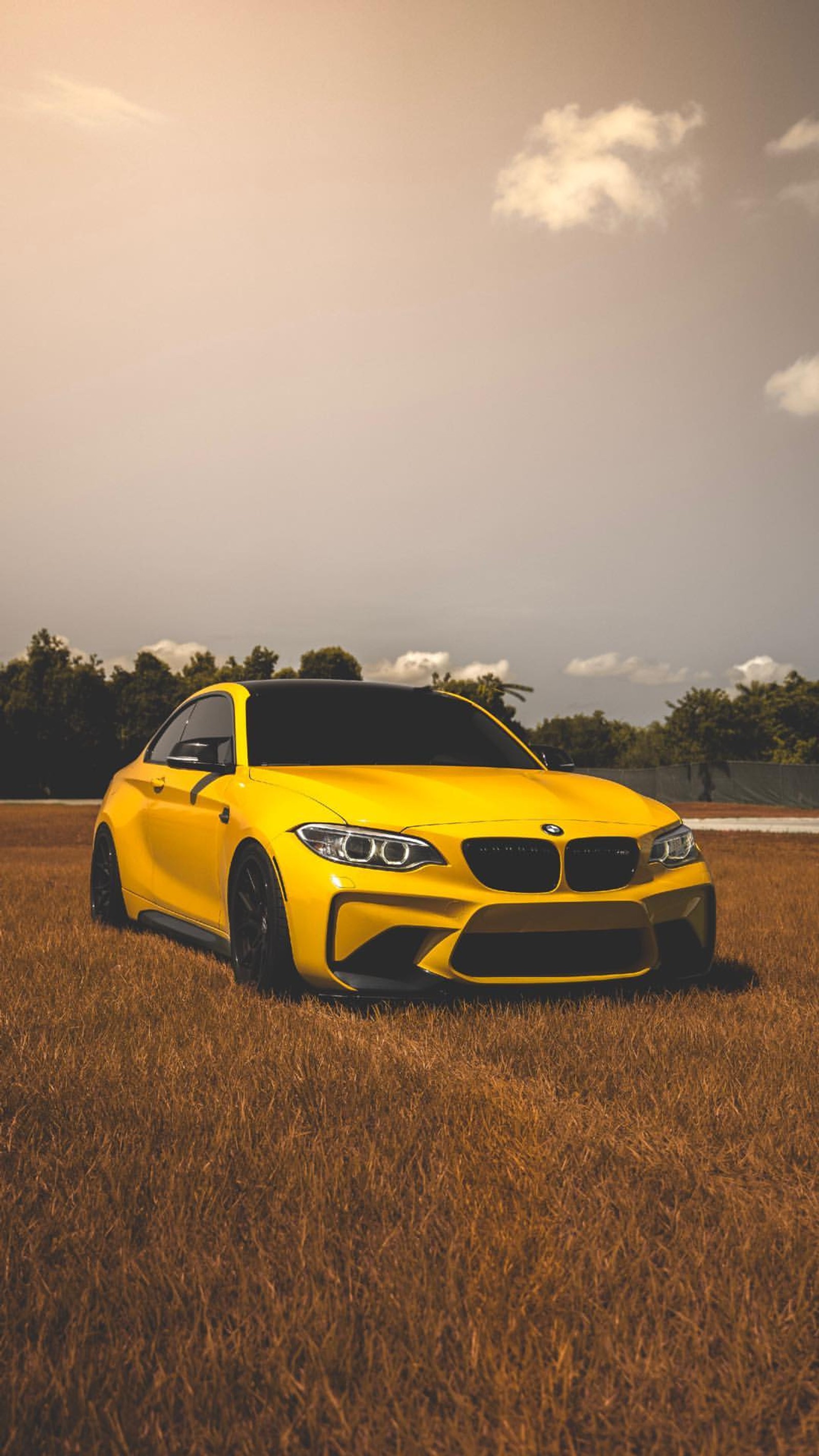 A yellow bmw car parked in a field of grass (bmw, m2, coupe, f87, tuning)