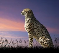 Majestuoso leopardo silueteado contra un colorido atardecer en África