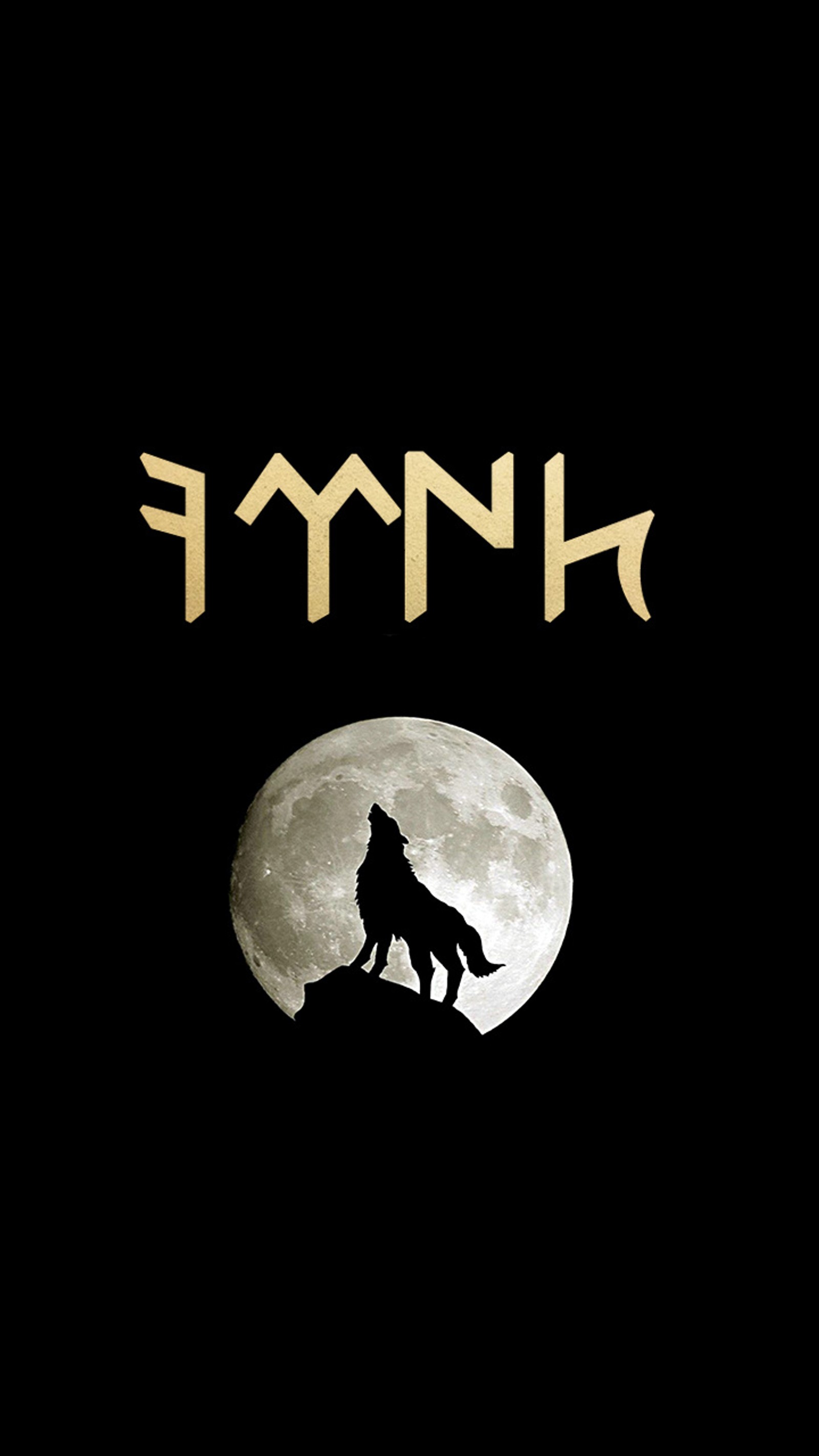 Ein wolf steht auf einem hügel mit einem vollen mond im hintergrund (kurt, mond, turke, der wolf)