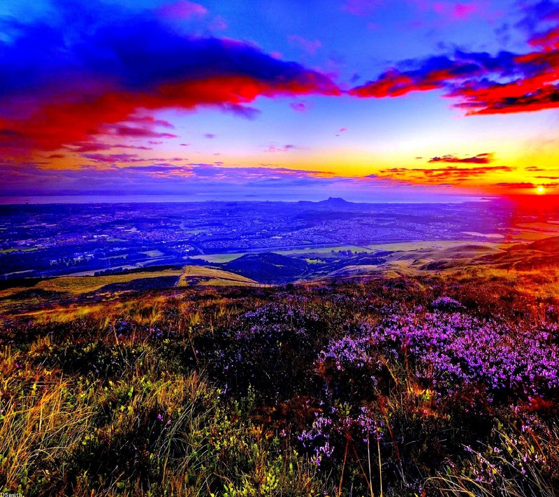 A colorful sunset over a valley with flowers and hills (fgahg, srtjsr)