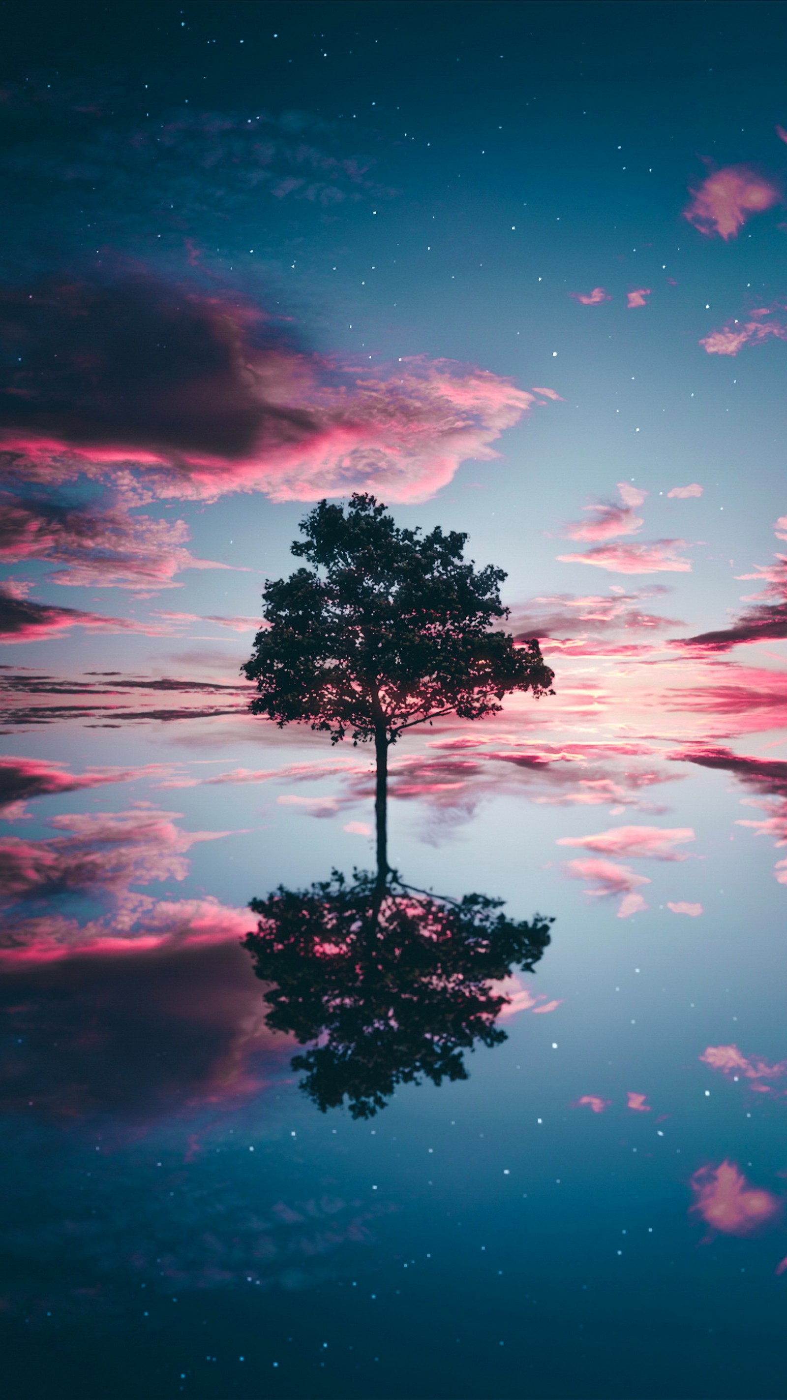 A tree is standing in the water with a pink sky in the background (loneliness, cloud, water, atmosphere, plant)