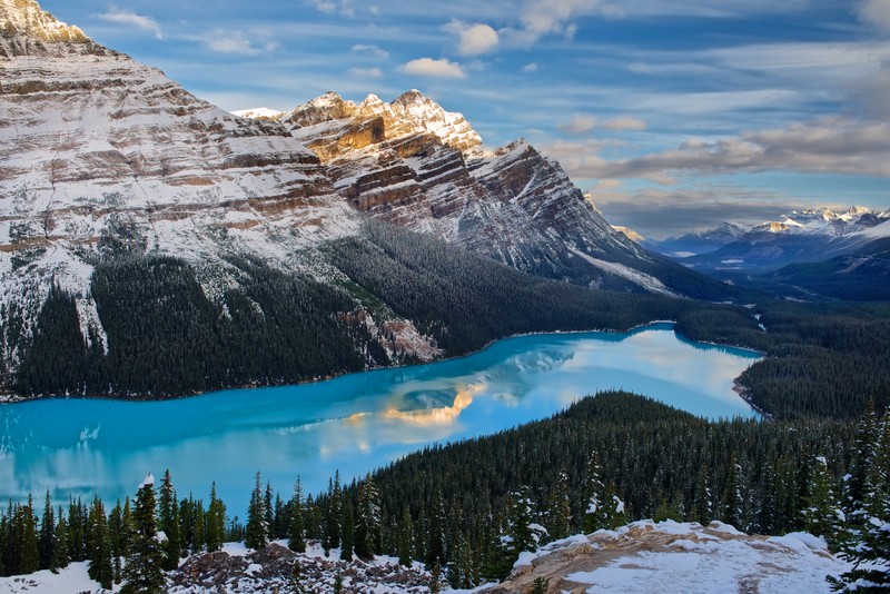 Близкий план горы с озером посередине (озеро пейто, банф, banff, гора, природа)