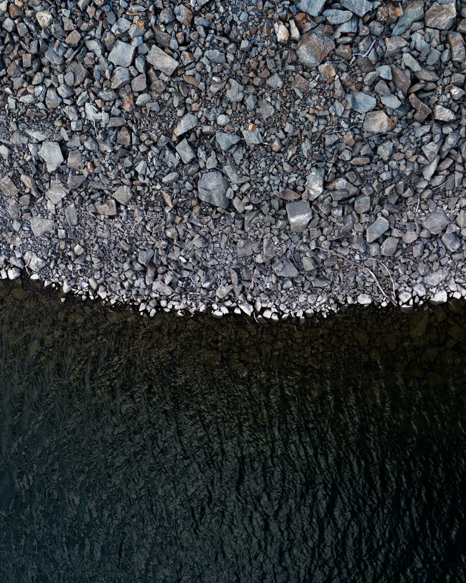 Araffes are sitting on a rock ledge next to a body of water (water, road surface, asphalt, metal, gravel)