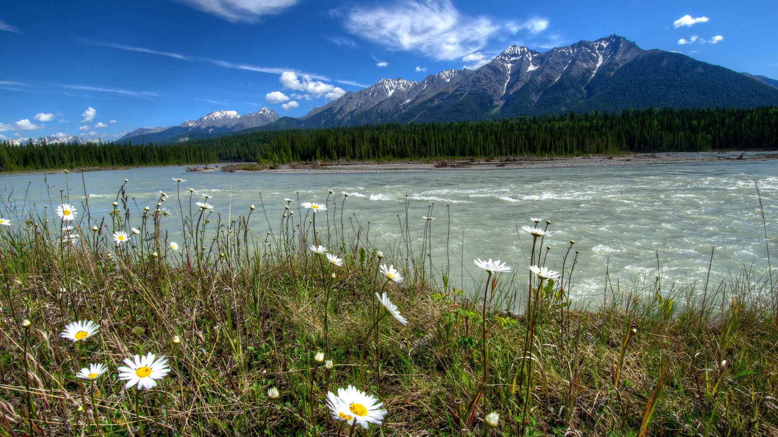 Vue d'une rivière avec une montagne en arrière-plan (flueve, nature, sauvage, prairie, réserve naturelle)