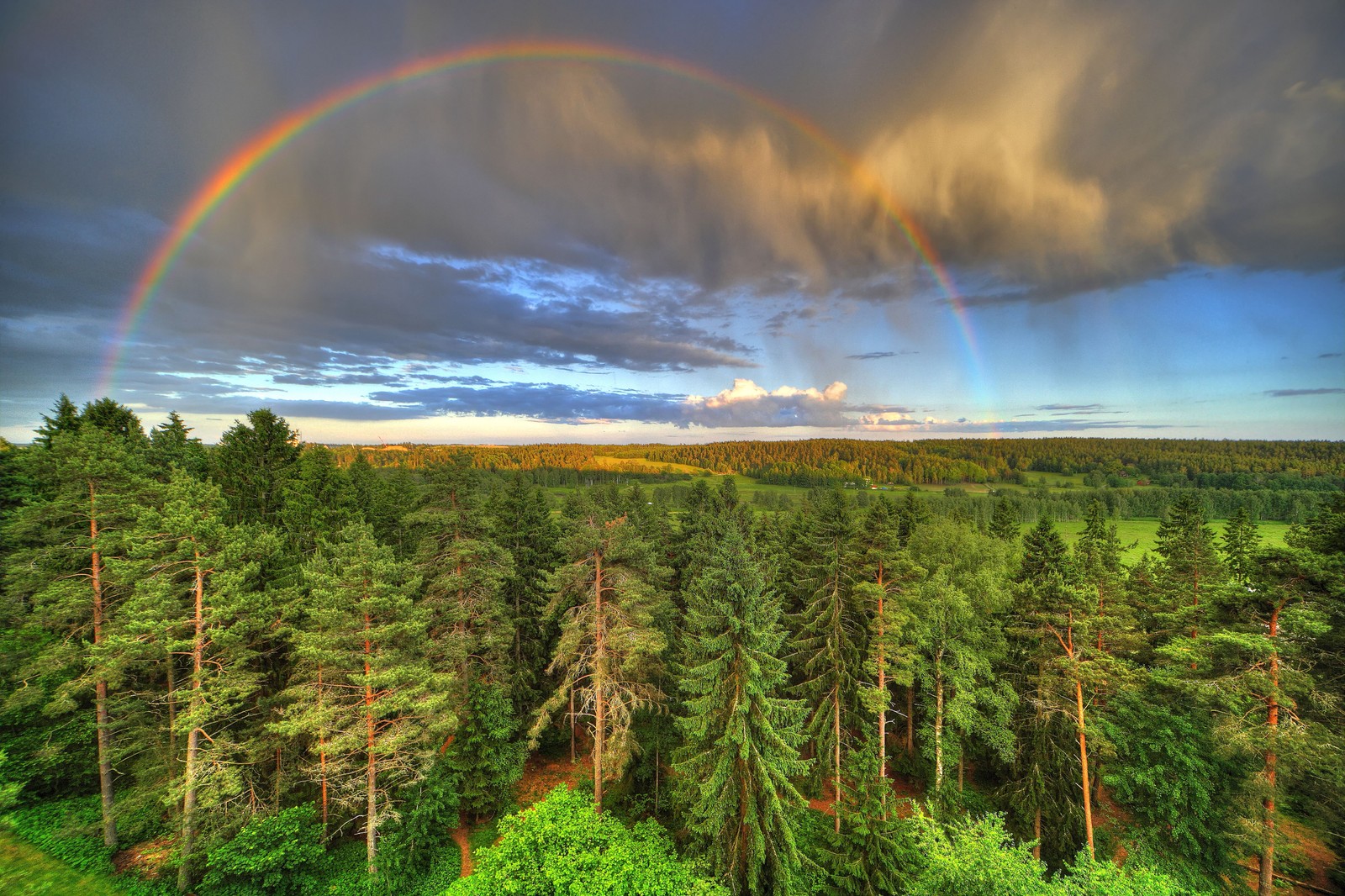 Un arco iris brilla sobre un bosque con un arco iris en el cielo (arcoíris, bioma, paisaje, cielo, zona rural)