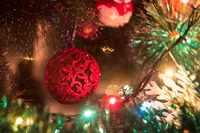 Festive Christmas Tree Ornaments and Colorful Lights