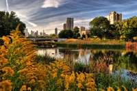 nature, reflection, city, pond, park wallpaper