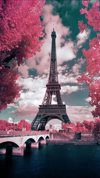 nublado, torre eiffel, rosa