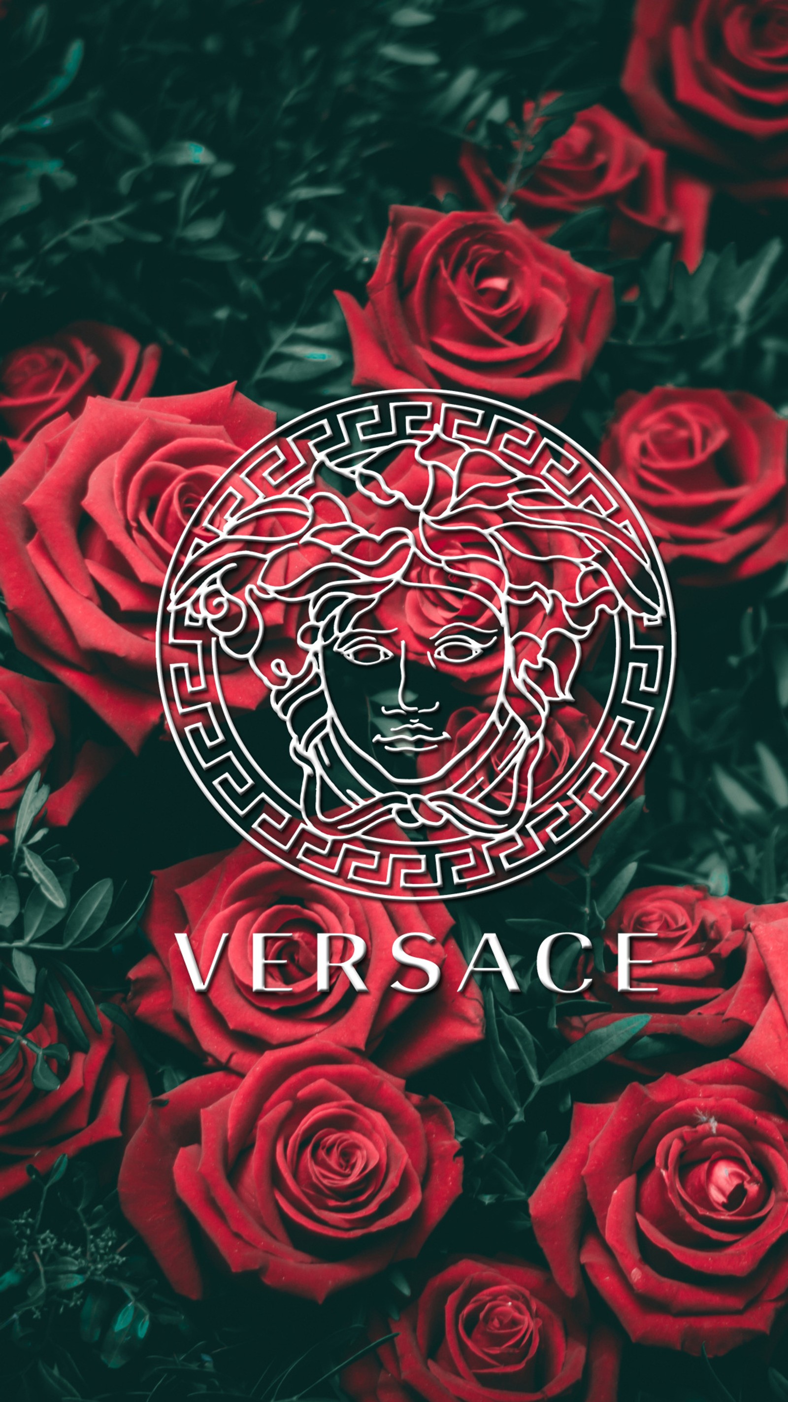 A close up of a bunch of red roses with a versa logo (brand, clothing, dark, designer, red)