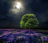 clouds, flowers, green, moon, nature