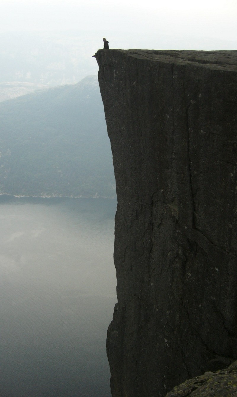 Птица сидит на краю утеса (норвегия, прекестулен, preikestolen, попечительская скала)