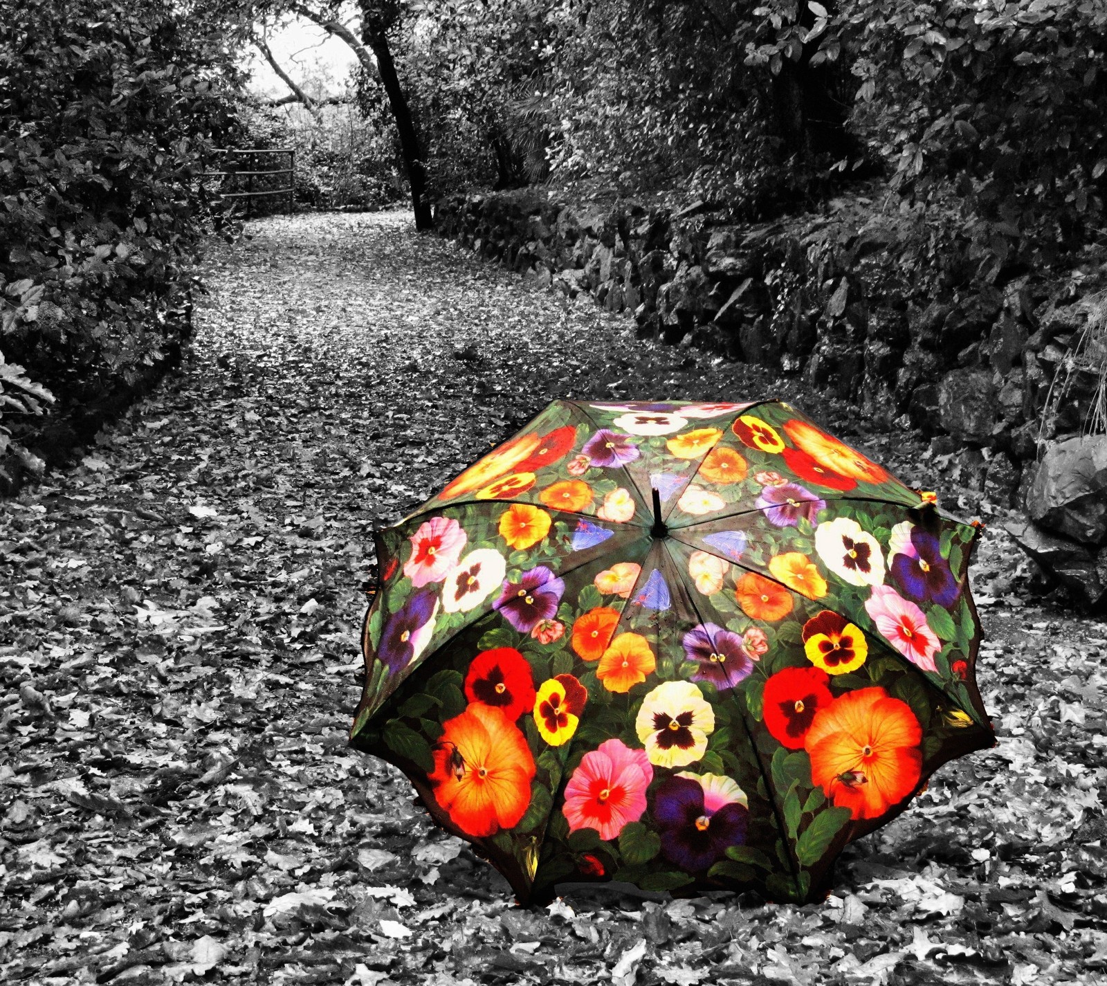 Un parapluie coloré qui est posé sur le sol (automne, coloré)