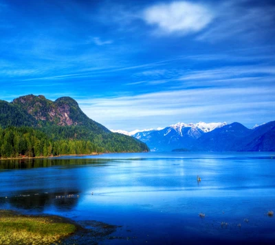 lago, naturaleza, verano