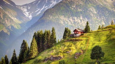 house, mountains, switzerland, trees