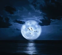 lunar, moon, ocean, sea, water