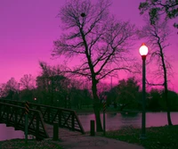 Verzauberter ländlicher Park bei Dämmerung: Ein lila Himmel über Wasser und Bäumen