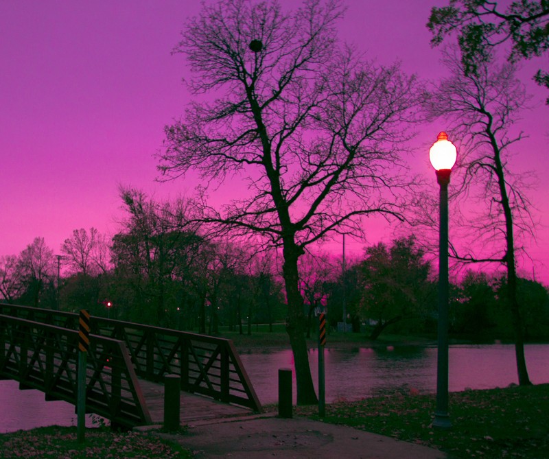 Céu roxo sobre uma ponte e um lago ao entardecer (país, amor, natureza, parque, roxo)