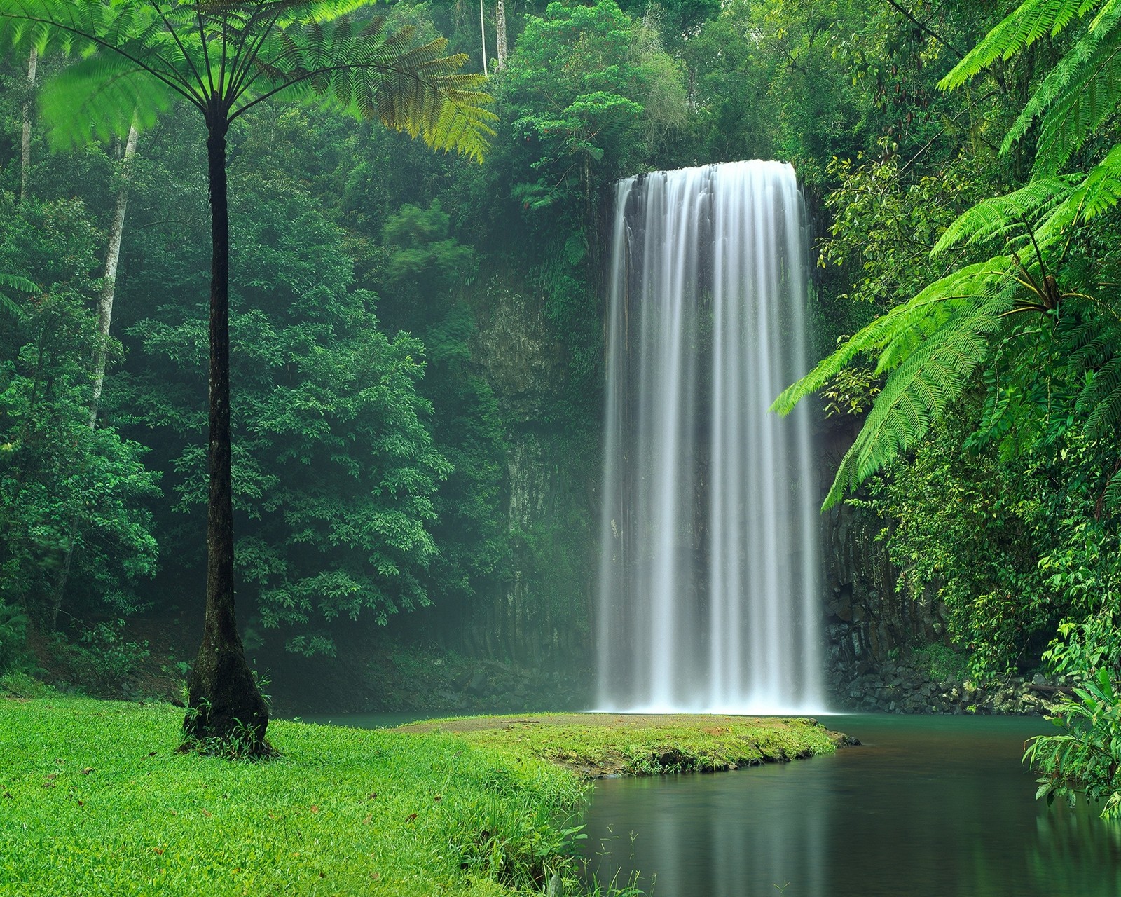 Arafed waterfall in the middle of a lush green forest (forest, natural, nature, new, nice)