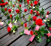 Des roses rouges avec des étiquettes "Je t'aime" éparpillées sur une surface en bois.