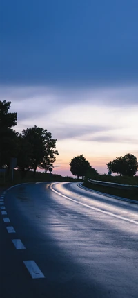 Reflections of Dusk on a Winding Wet Road Surrounded by Trees