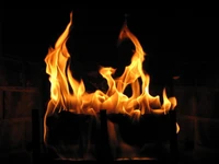 Radiant Flames Dancing in a Wood-Burning Stove