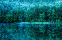 nature, water, green, reflection, vegetation