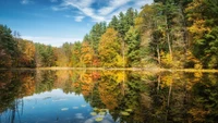 Reflexões de outono em um lago tranquilo cercado por uma natureza vibrante