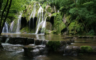 Cachoeira tranquila cercada por vegetação exuberante em uma reserva natural