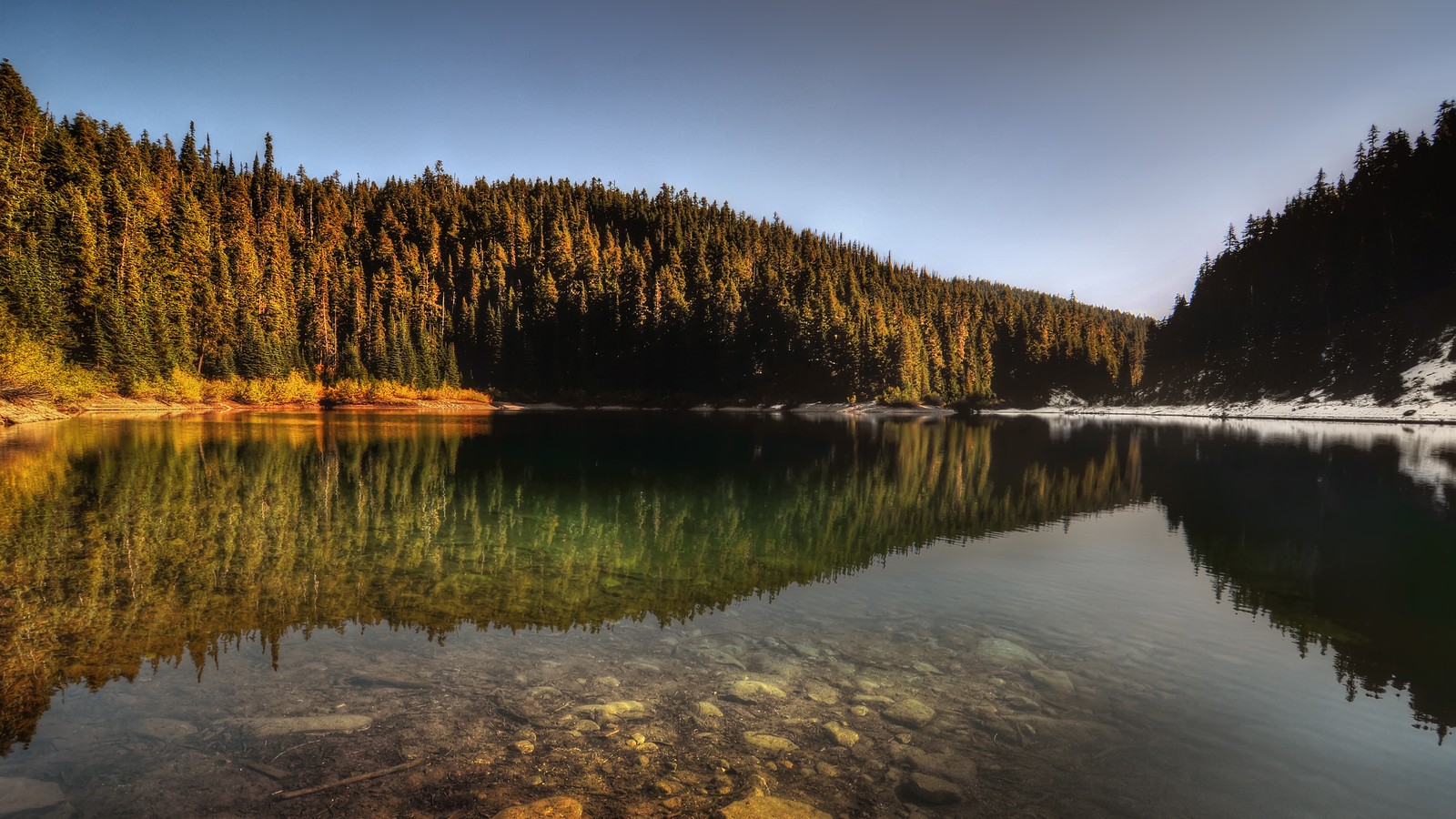 Blick auf einen see mit einem wald im hintergrund (reflexion, natur, wasser, baum, see)