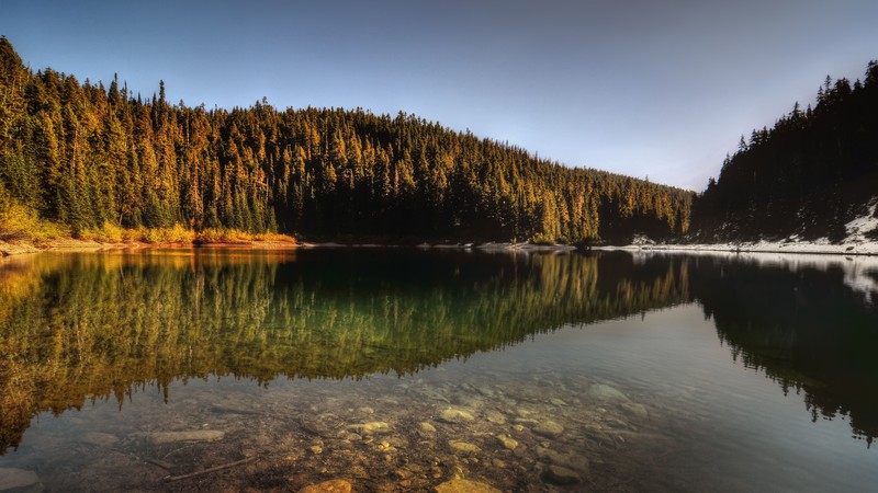 Арафед вид на озеро с лесом на заднем плане (отражение, природа, вода, дерево, озеро)