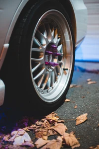 Stylish Alloy Wheel with Spokes and Autumn Leaves