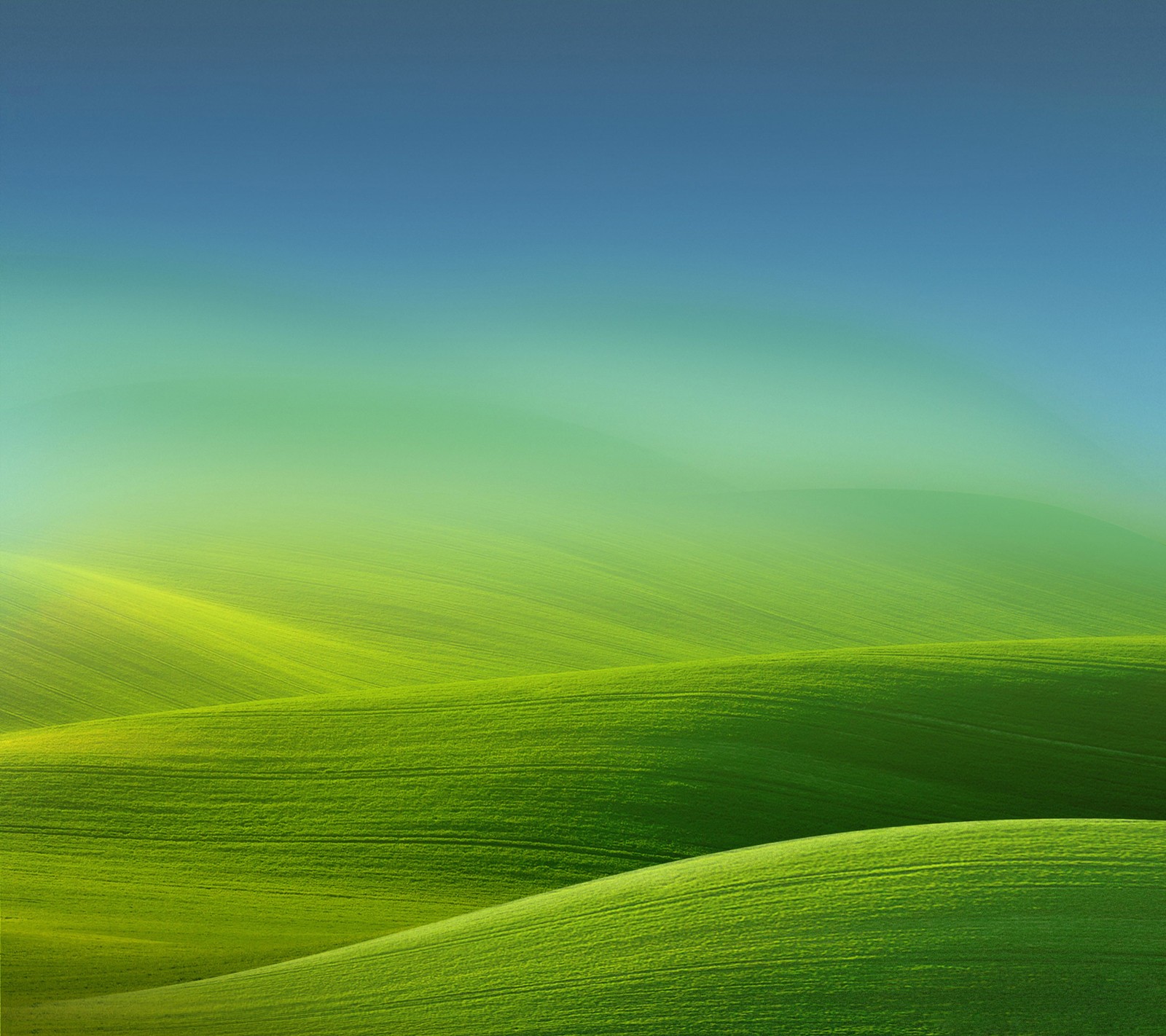 A close up of a green field with a sky background (art, blue, grass, green, sky)