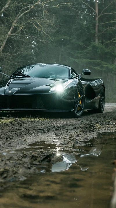 Ferrari LaFerrari: Puissance et Élégance sur une Route Forestière