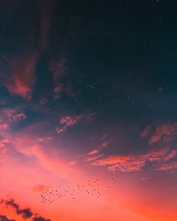 Un cielo de atardecer vibrante lleno de nubes en remolino, estrellas dispersas y un grupo de aves en vuelo.