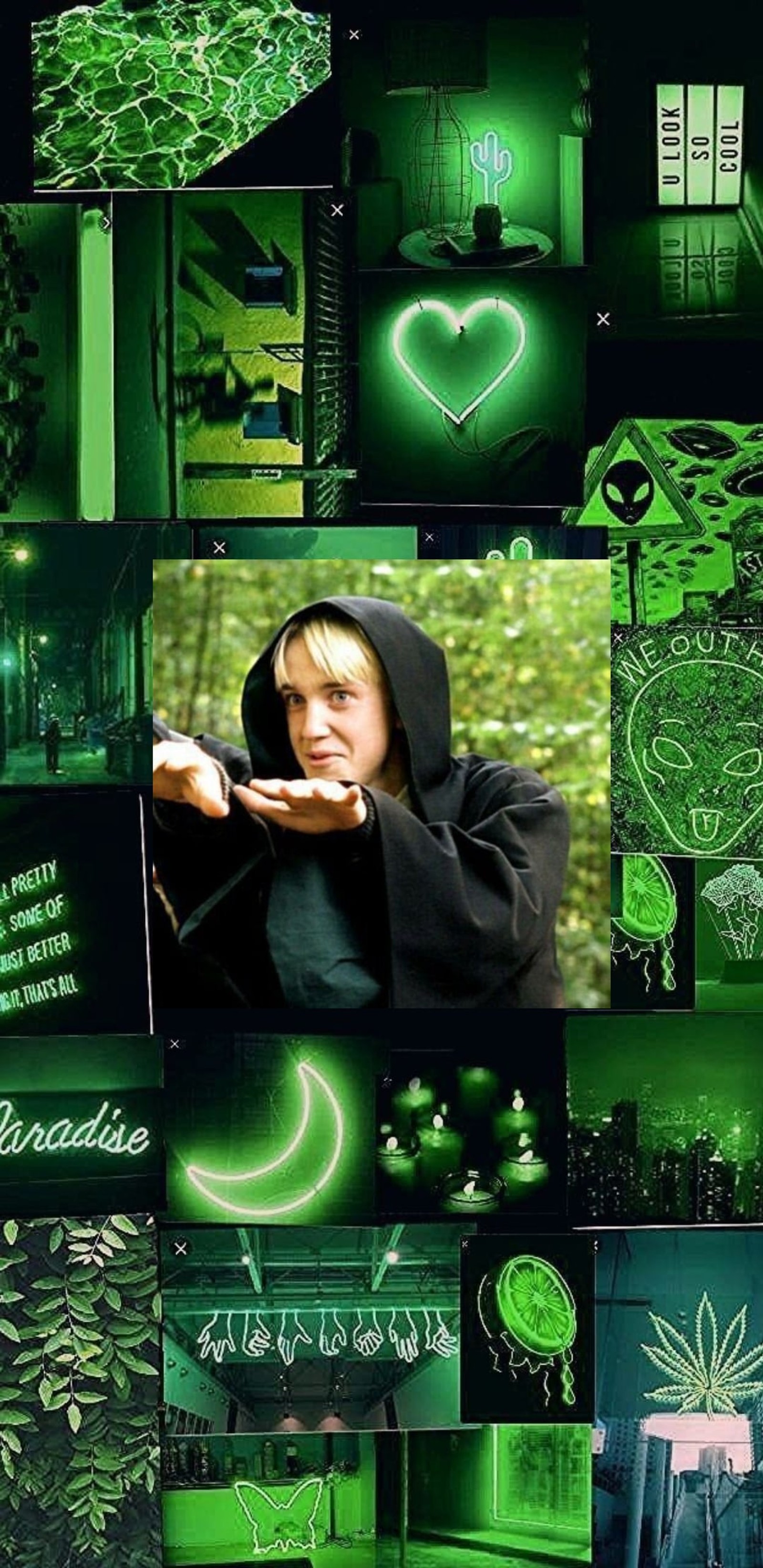 draco malfoy, tom felton Download Wallpaper