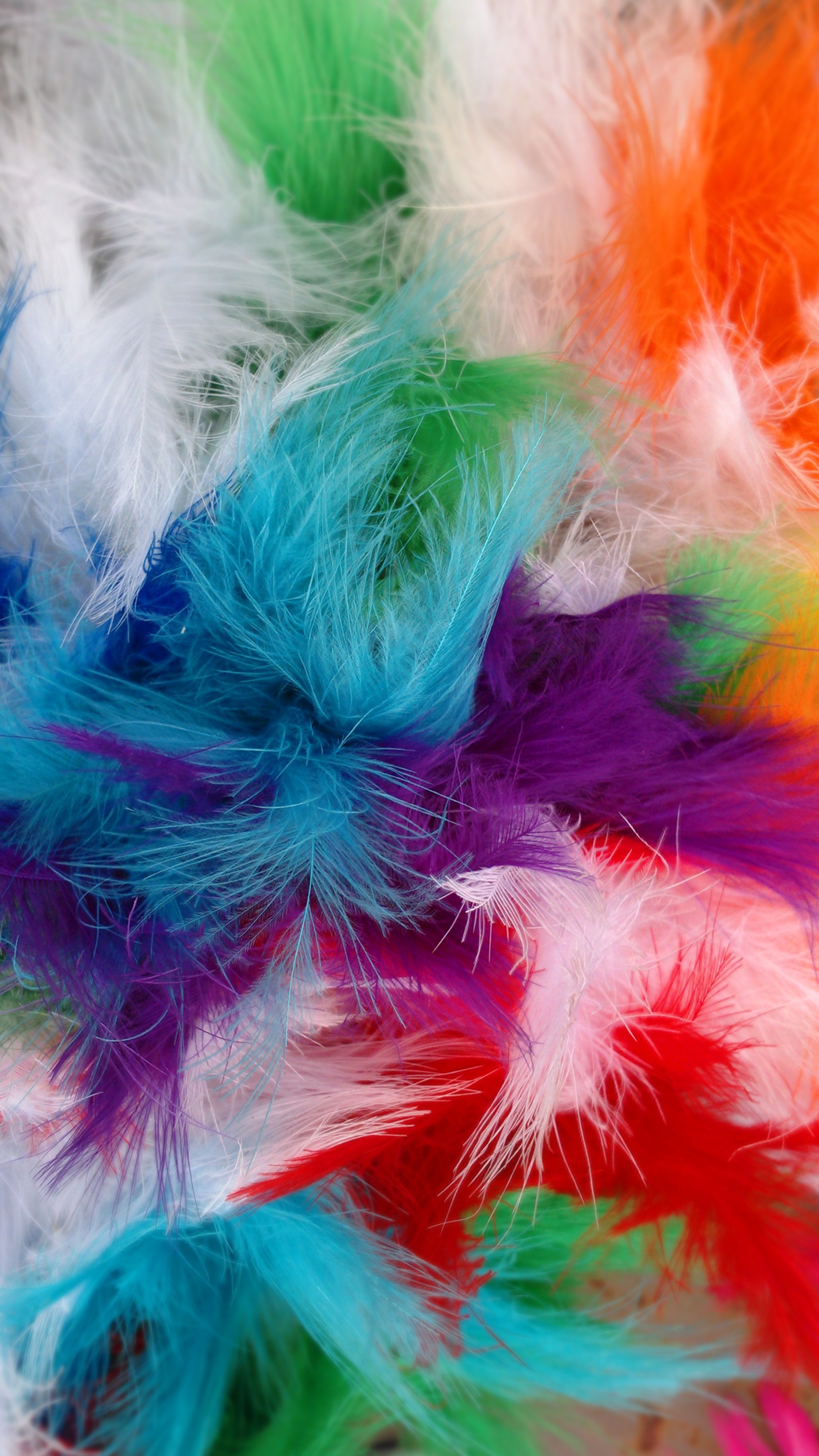 Download feather, wallpaper for free