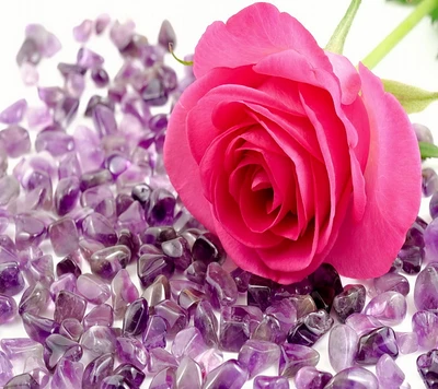 Romantic Pink Rose Surrounded by Amethyst Crystals