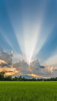 Rayos de sol radiantes cortando a través de campos verdes exuberantes