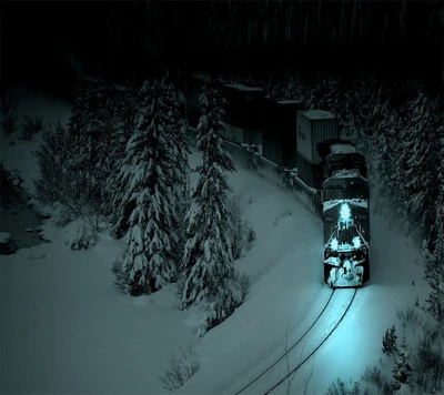 Winter Night Train Journey Through Snowy Beograd