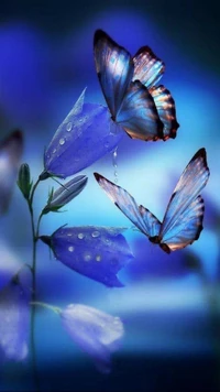 butterflies, flowers